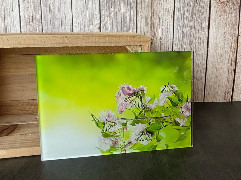 Impression directe sur acrylique en Deux Sèvres